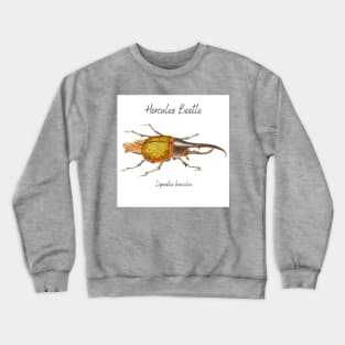 Hercules beetle illustration from The Naturalist's Miscellany (1789-1813) by George Shaw (1751-1813) Crewneck Sweatshirt